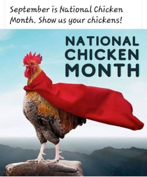 national chicken month.jpg